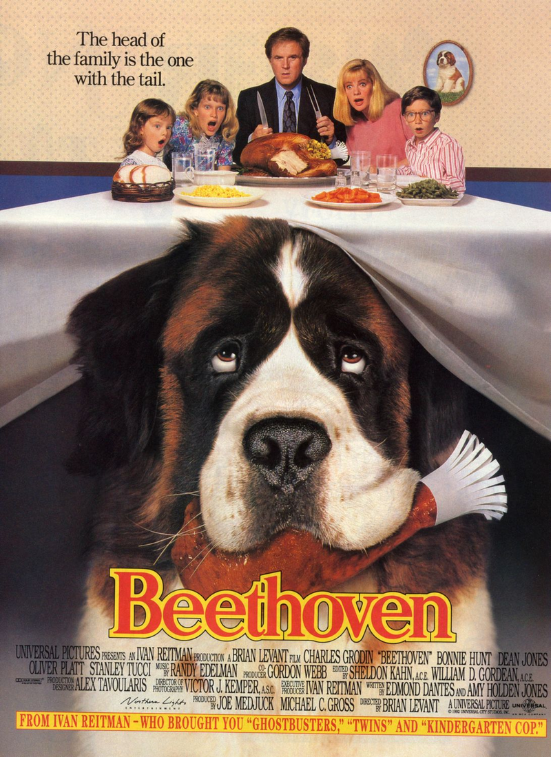 Illustration for article titled The Weirdest Animal Movie (and TV) Stars of All Time